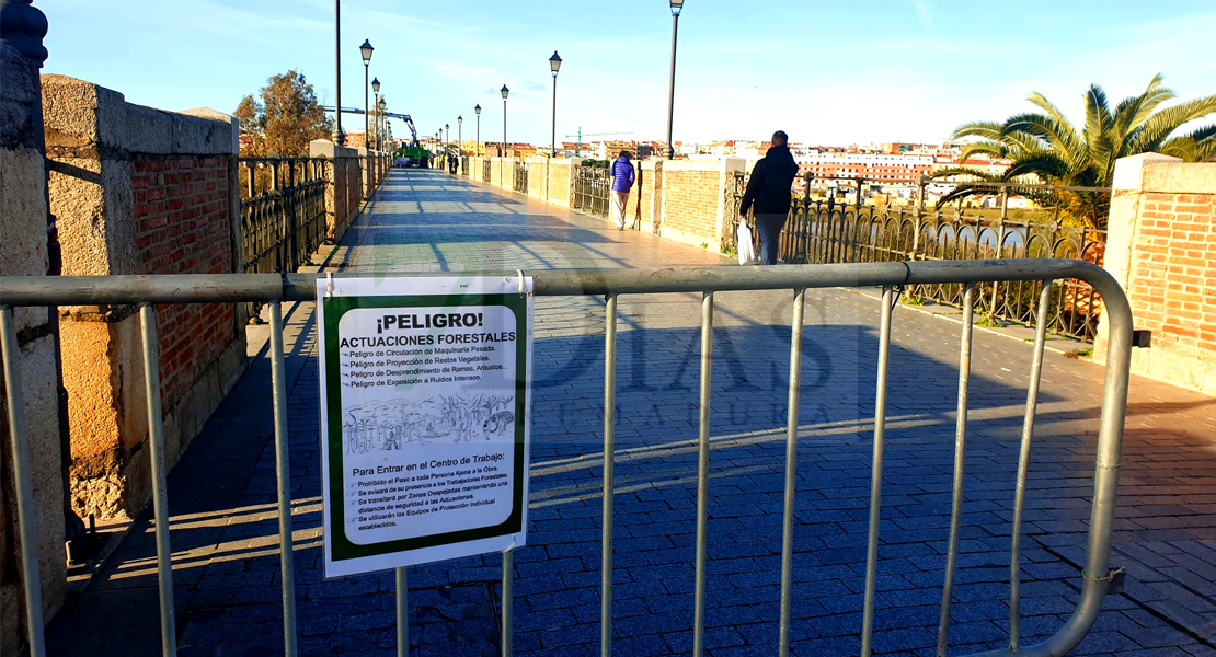 Operarios realizan labores de deforestación en el Puente Viejo de Badajoz