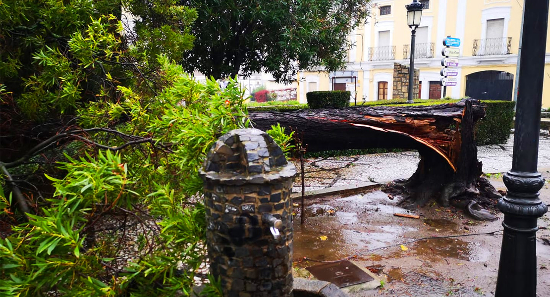 Imágenes que deja el temporal a su paso por Extremadura