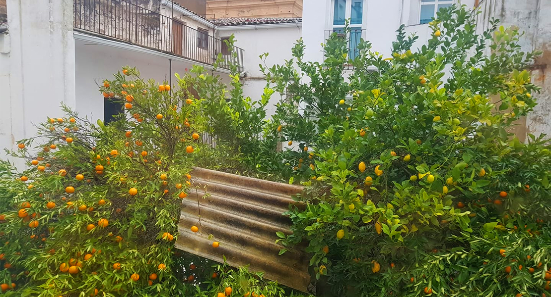 Imágenes que deja el temporal a su paso por Extremadura