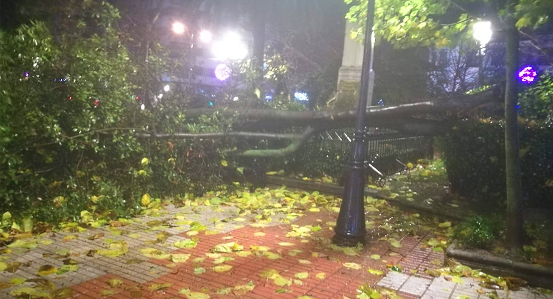 Imágenes que deja el temporal a su paso por Extremadura