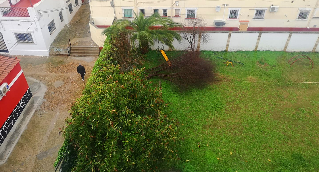 Imágenes que deja el temporal a su paso por Extremadura