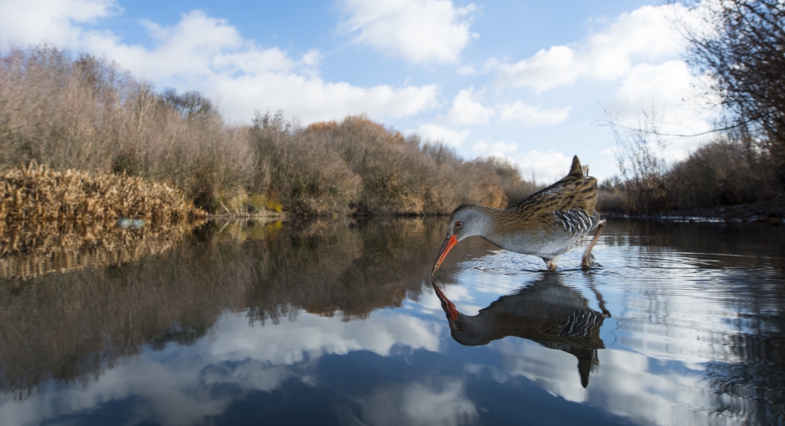 FIO publica las bases de su concurso de fotografía dotado con 5.000 euros en premios