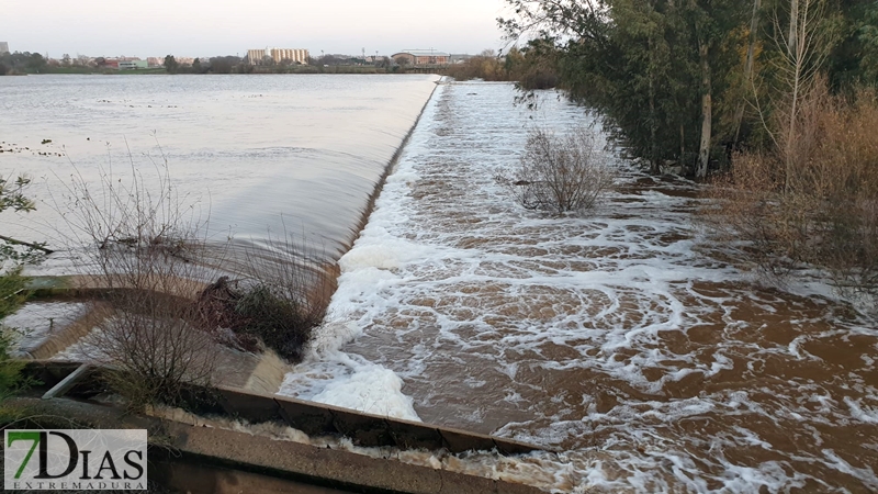 La crecida del Gévora hace aumentar el caudal del Guadiana