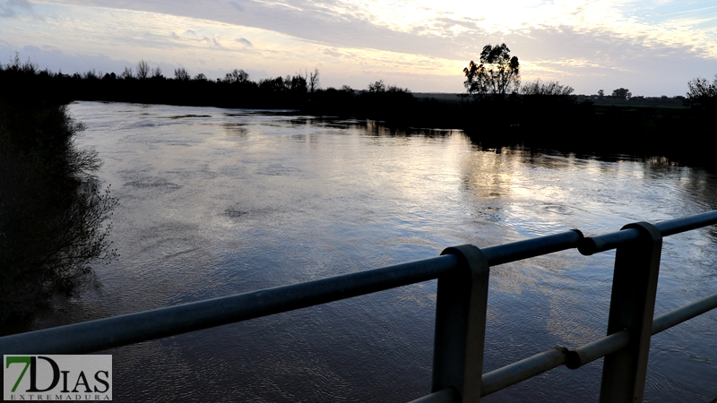 La crecida del Gévora hace aumentar el caudal del Guadiana