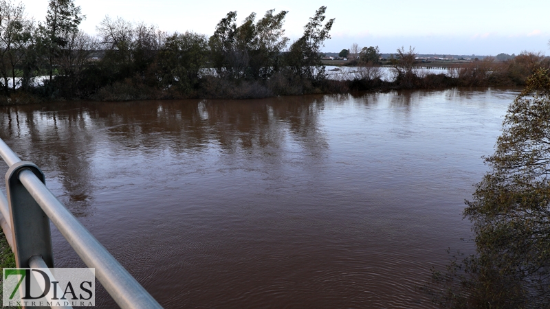 La crecida del Gévora hace aumentar el caudal del Guadiana