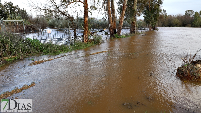 La crecida del Gévora hace aumentar el caudal del Guadiana