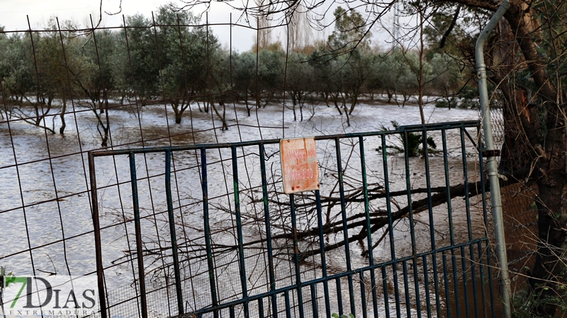 La crecida del Gévora hace aumentar el caudal del Guadiana