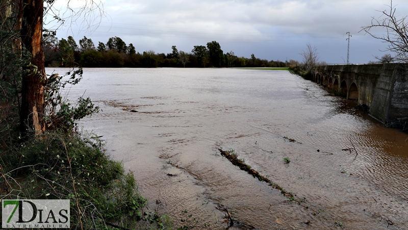 La crecida del Gévora hace aumentar el caudal del Guadiana