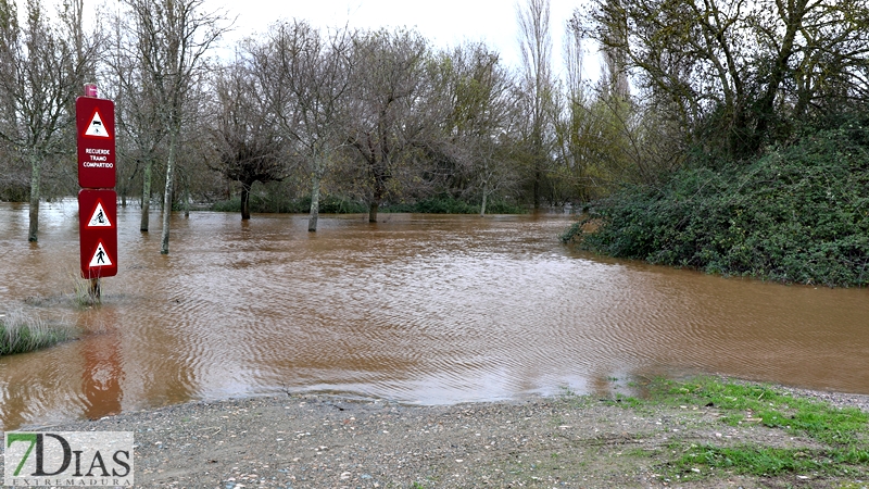 La crecida del Gévora hace aumentar el caudal del Guadiana