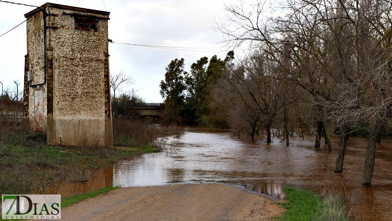 La crecida del Gévora hace aumentar el caudal del Guadiana