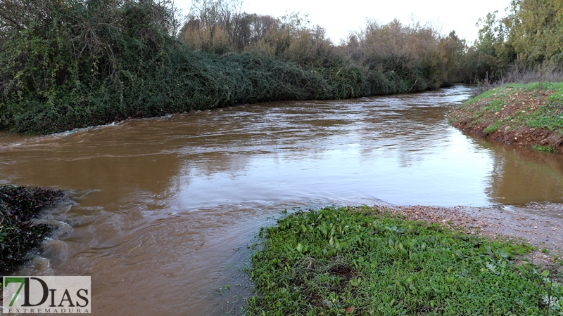 La crecida del Gévora hace aumentar el caudal del Guadiana