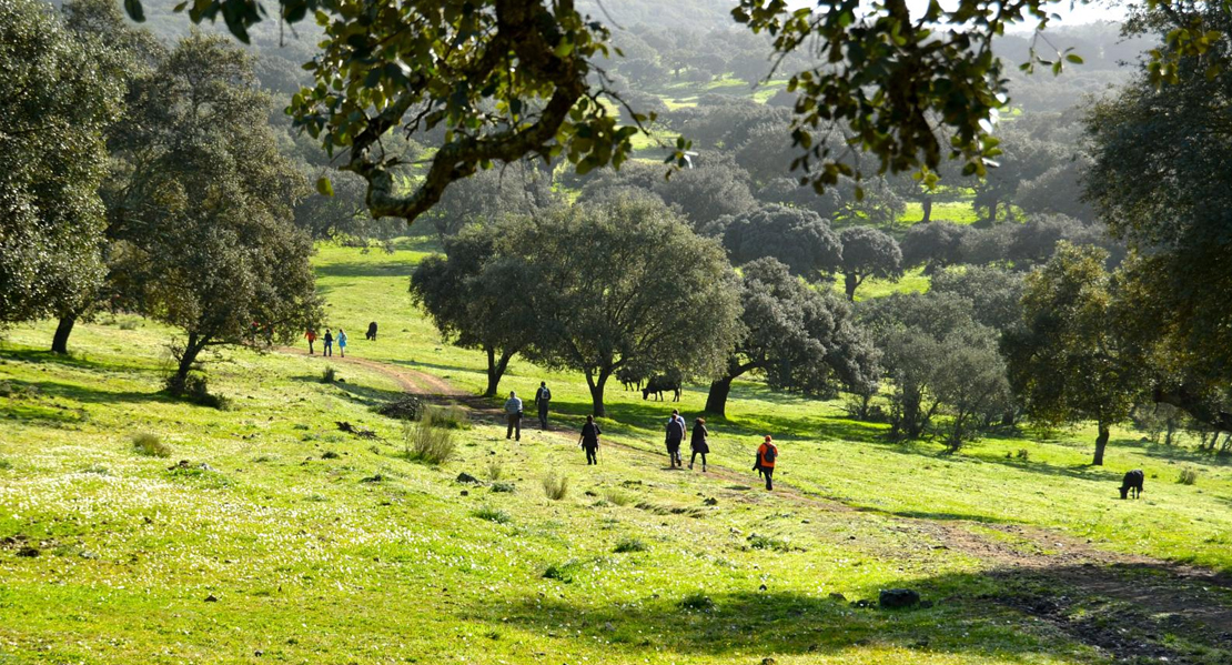 La Ruta senderista Los Doce Apostoles pondrá en valor la naturaleza de Salvaleón