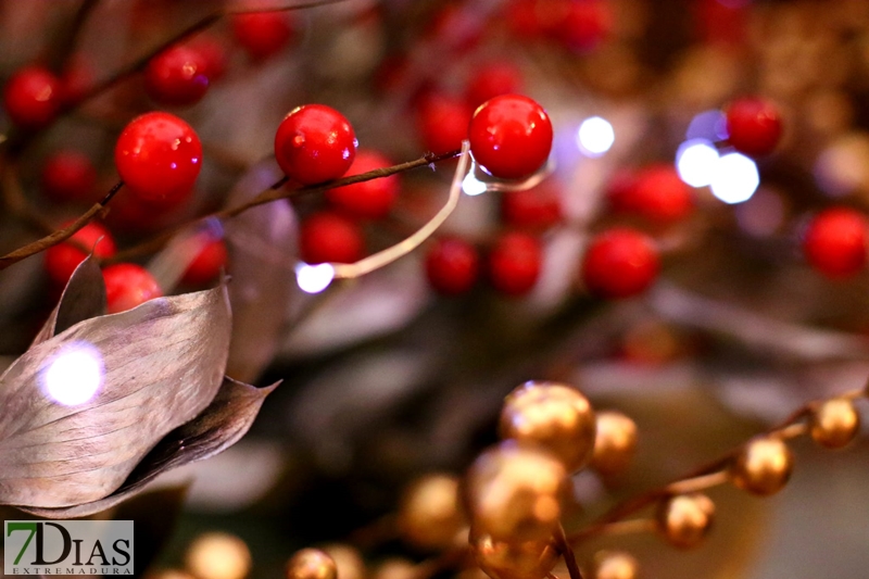 Guadalupe vive un momento mágico con el encendido de Navidad