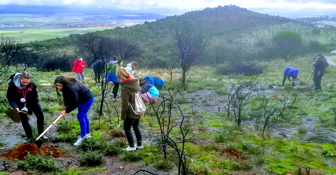 La vida se abre paso en la cacereña ‘Sierrilla’ tras el incendio de 2017