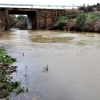 Los arroyos y ríos de Sierra de San Pedro también bajan con fuerza