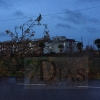 El temporal se lleva por delante árboles y muros en Badajoz