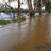 La crecida del Gévora hace aumentar el caudal del Guadiana