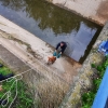 Imágenes del rescate a dos perros en un canal de Mérida