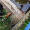 Imágenes del rescate a dos perros en un canal de Mérida