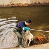 Imágenes del rescate a dos perros en un canal de Mérida