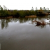 Los arroyos y ríos de Sierra de San Pedro también bajan con fuerza