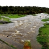 Los arroyos y ríos de Sierra de San Pedro también bajan con fuerza