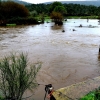 Los arroyos y ríos de Sierra de San Pedro también bajan con fuerza