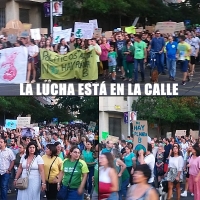 Ecologistas: &quot;Vacías declaraciones de Emergencia Climática realizadas desde Extremadura&quot;