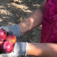 UPA alerta: “La caída de la renta agraria refleja la crítica situación del campo”