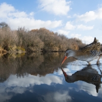 El concurso fotográfico FIO estará dotado con 5.000 euros en premios