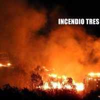 Prevista una quedada para reforestar la zona incendiada de Tres Arroyos