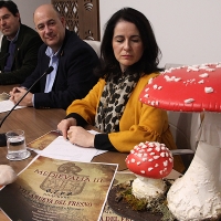 ‘Medievalia’, una feria que recrea el asedio a la localidad de Villanueva del Fresno