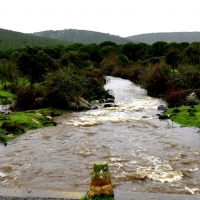 Los arroyos y ríos de Sierra de San Pedro también bajan con fuerza