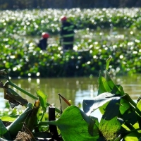 La UME dejará el río Guadiana 10 días antes de lo previsto