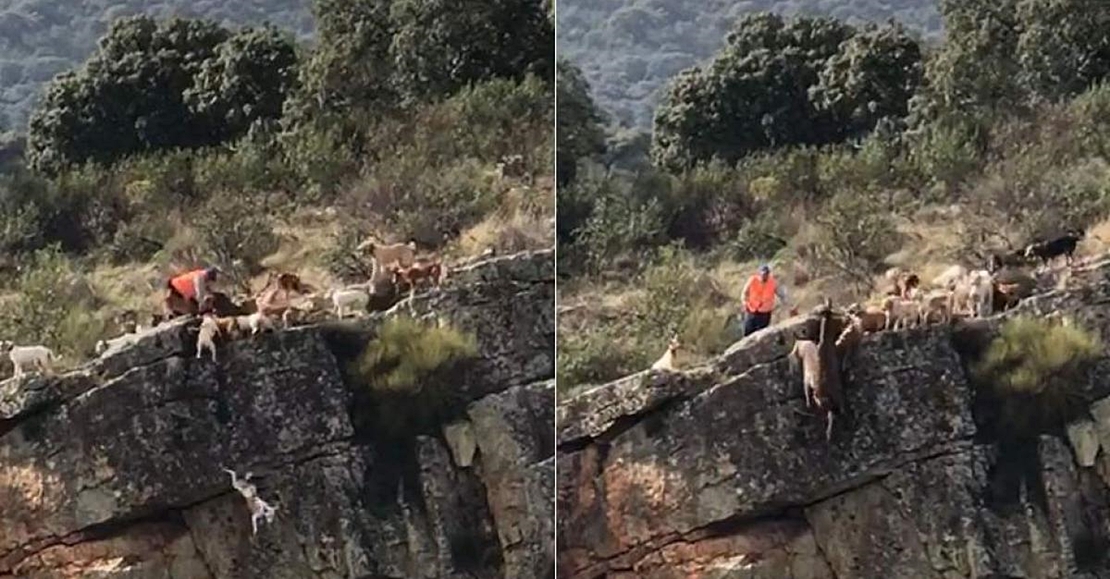 45 colectivos rechazan que las monterías sean Bien de Interés Cultural en Extremadura