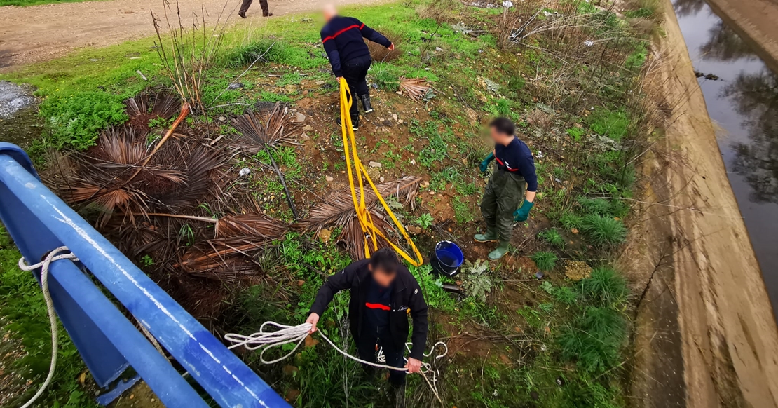 Imágenes del rescate a dos perros en un canal de Mérida