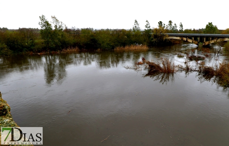 Los arroyos y ríos de Sierra de San Pedro también bajan con fuerza