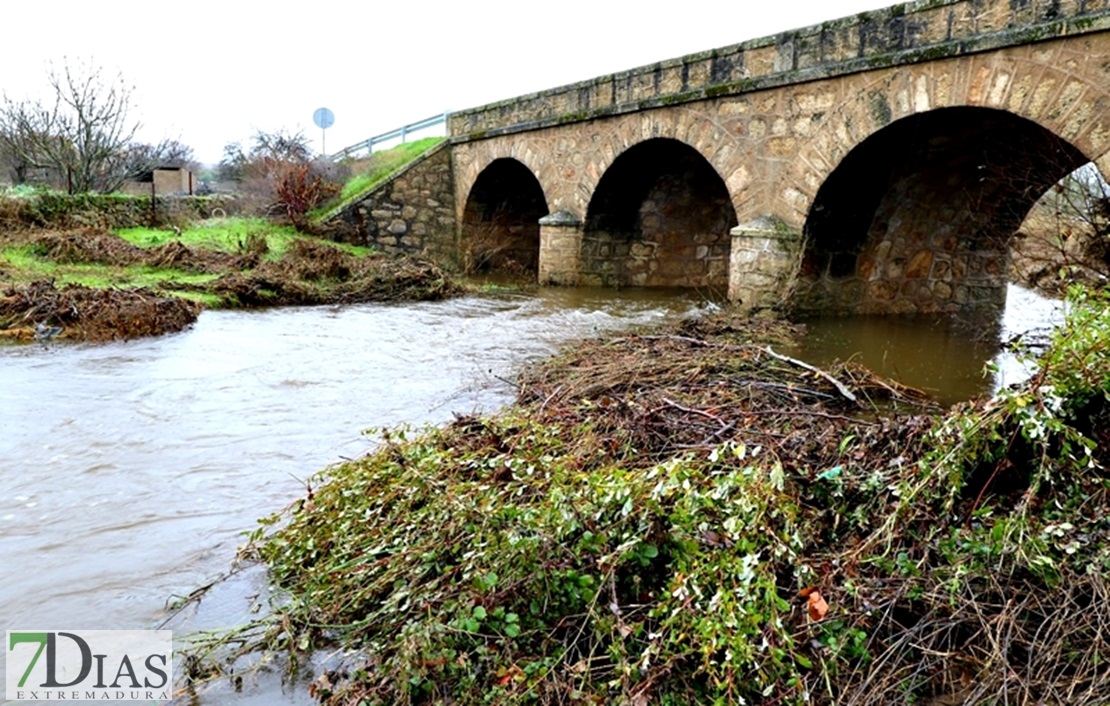 Los arroyos y ríos de Sierra de San Pedro también bajan con fuerza