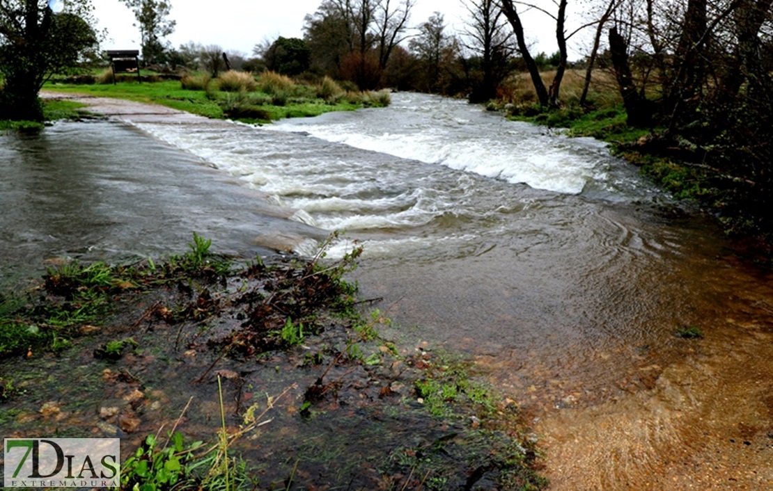 Los arroyos y ríos de Sierra de San Pedro también bajan con fuerza