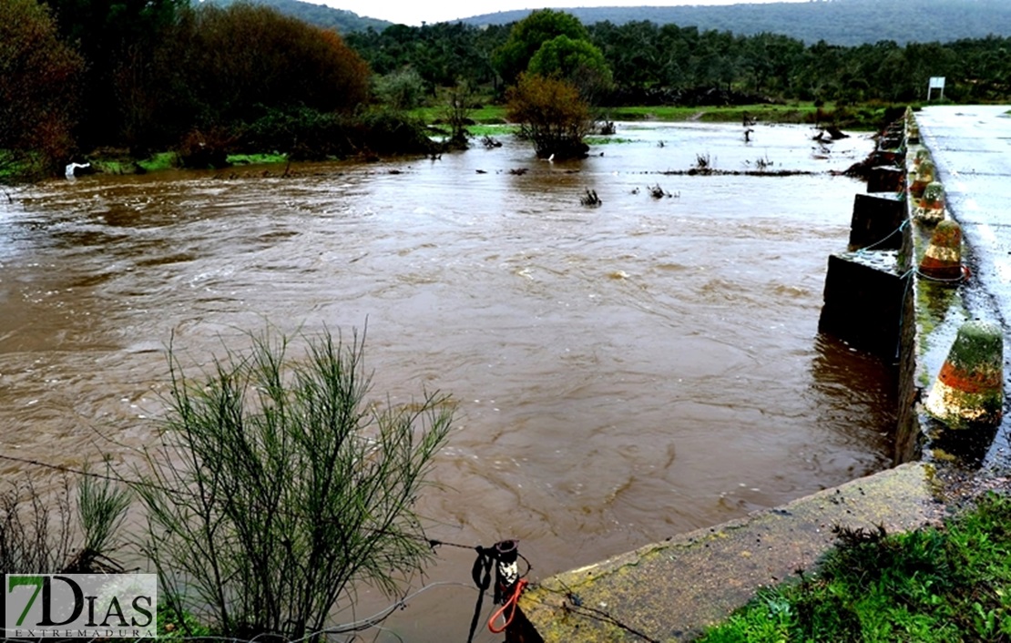 Los arroyos y ríos de Sierra de San Pedro también bajan con fuerza