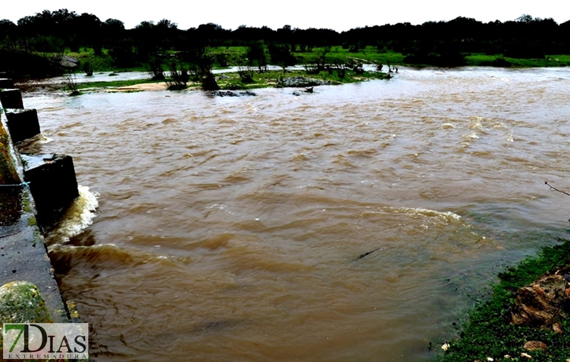 Los arroyos y ríos de Sierra de San Pedro también bajan con fuerza