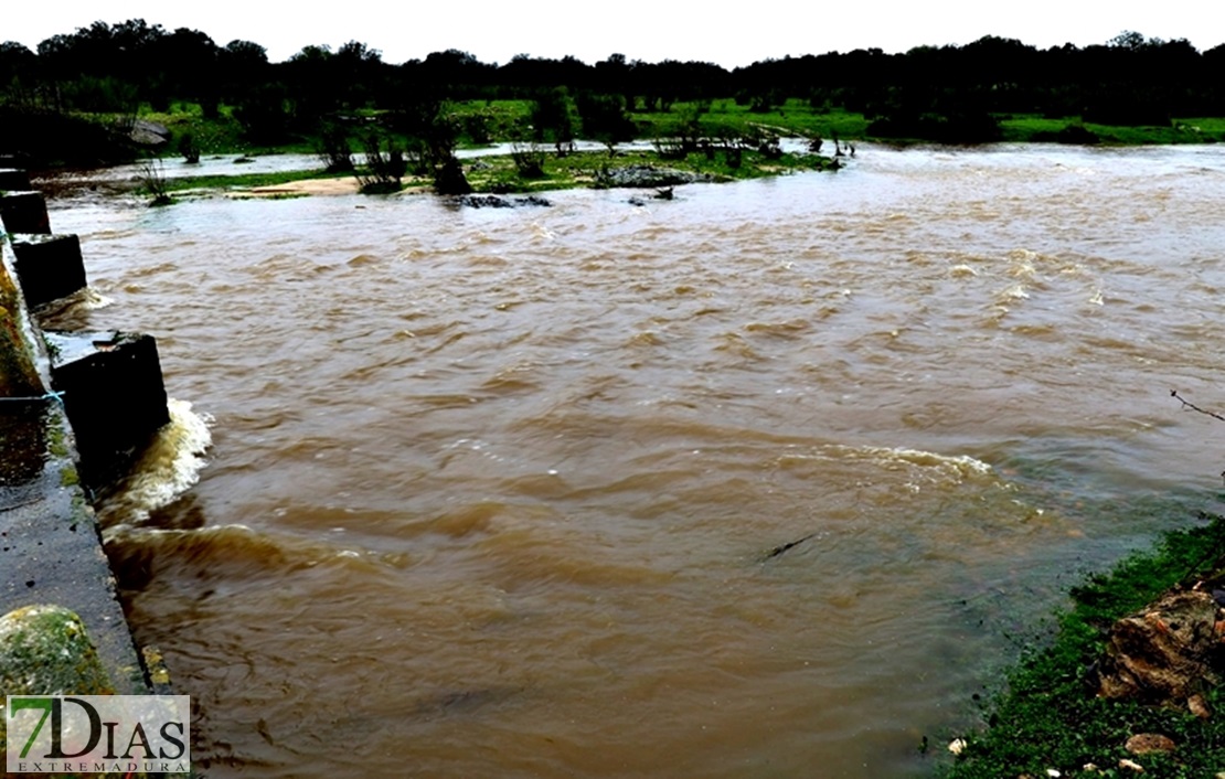 Los arroyos y ríos de Sierra de San Pedro también bajan con fuerza