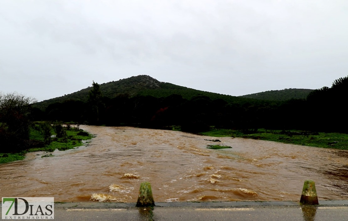 Los arroyos y ríos de Sierra de San Pedro también bajan con fuerza