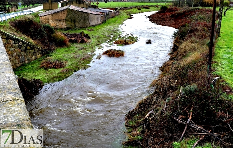 Los arroyos y ríos de Sierra de San Pedro también bajan con fuerza