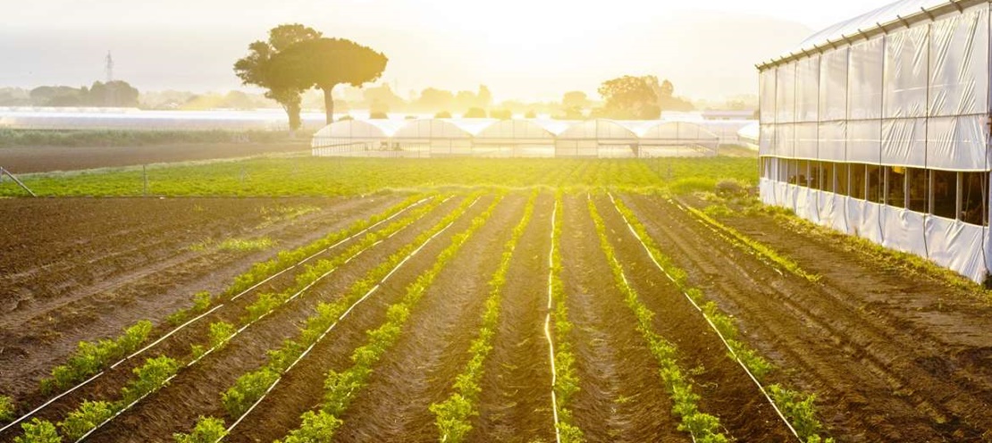 Cerca de 700.000 mil productores podrán presentar sus solicitudes de ayudas directas de la PAC