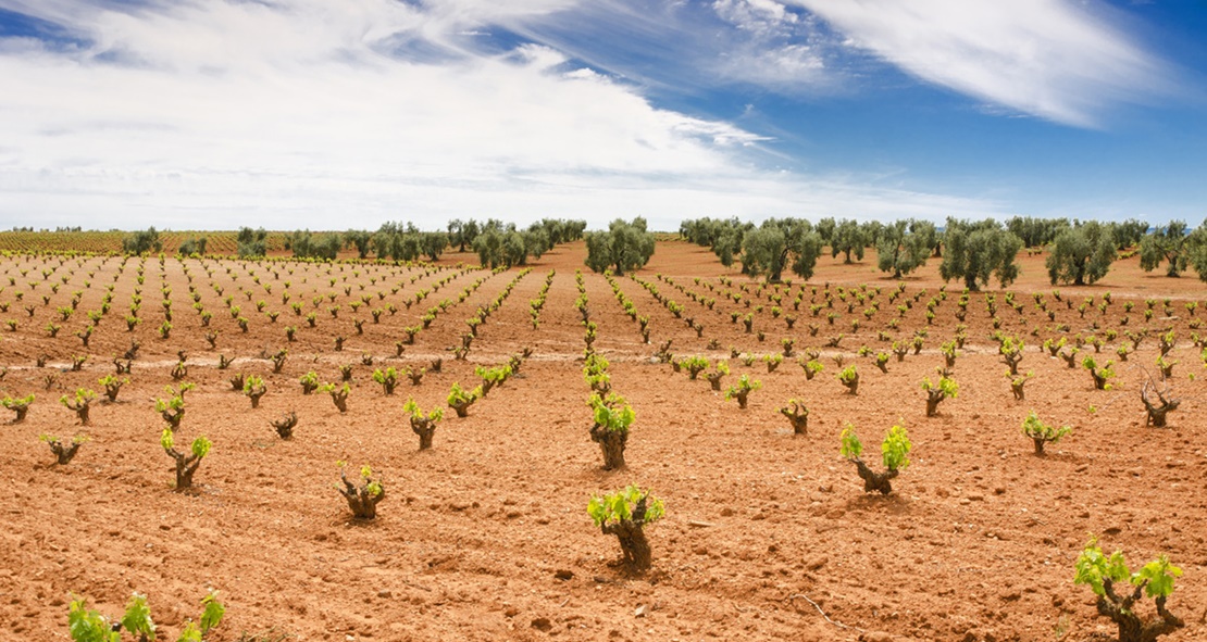 La nueva campaña del PAC 2020 apuesta por la monitorización del sector agrario