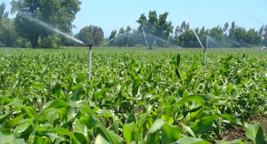 Agricultura informa a las comunidades de regantes de las principales actuaciones previstas