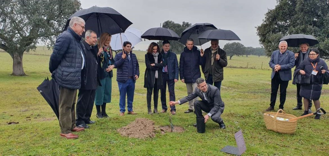 Extremadura cuadriplicará en 2020 la potencia fotovoltaica con respecto a 2018