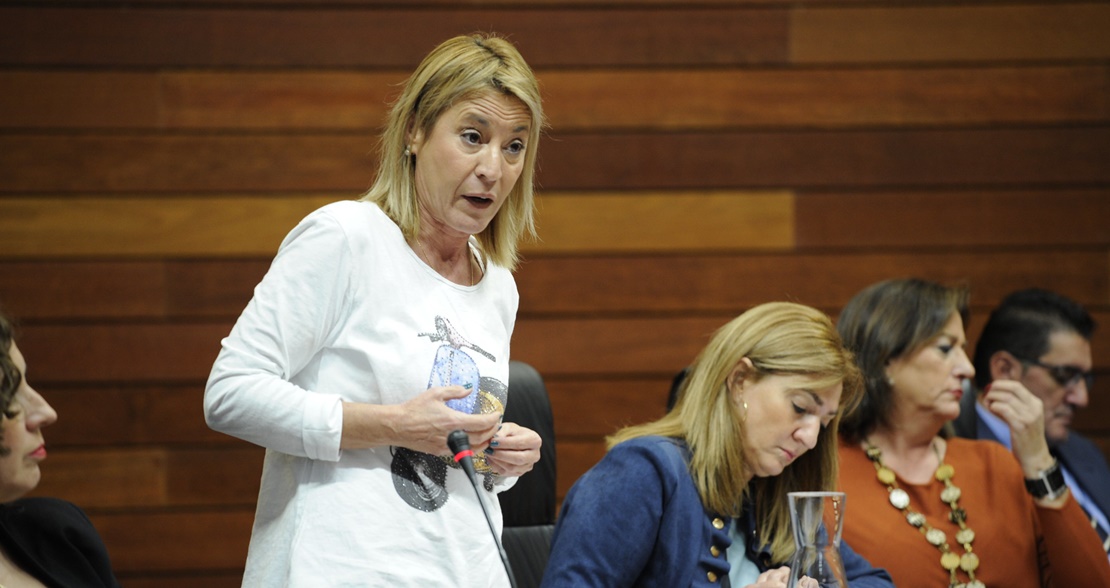 PP exige que Vergeles comparezca urgentemente ante las graves incidencias en las ambulancias