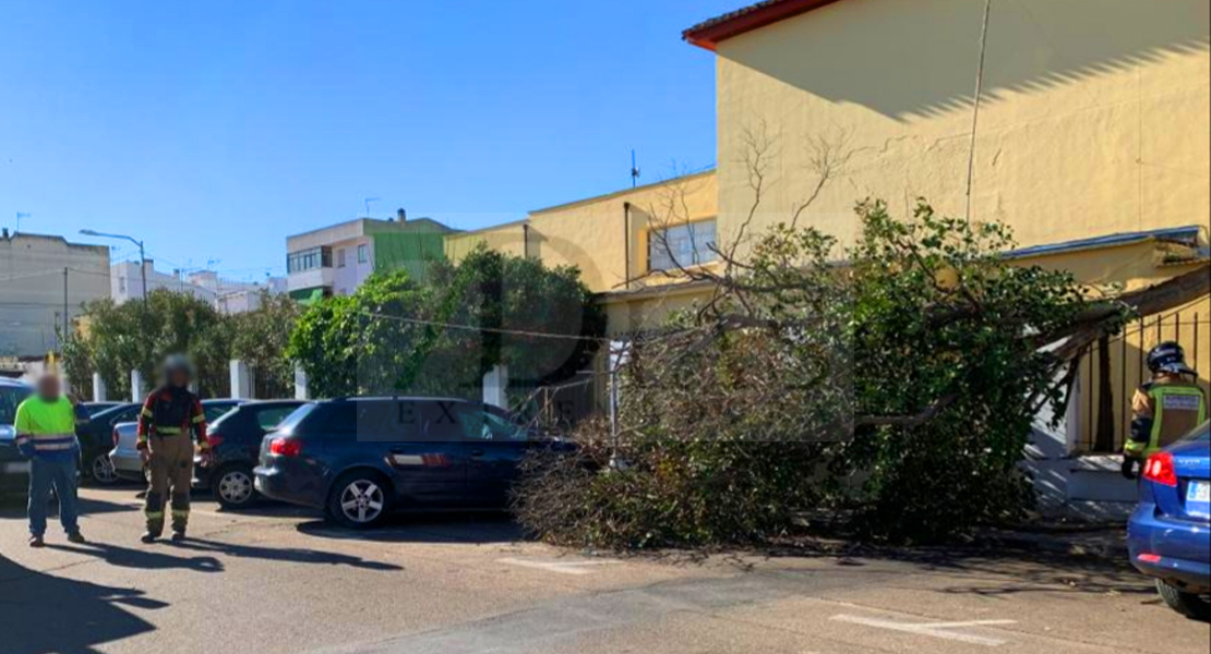 Los Bomberos actúan ante numerosos destrozos causados por el viento en Badajoz